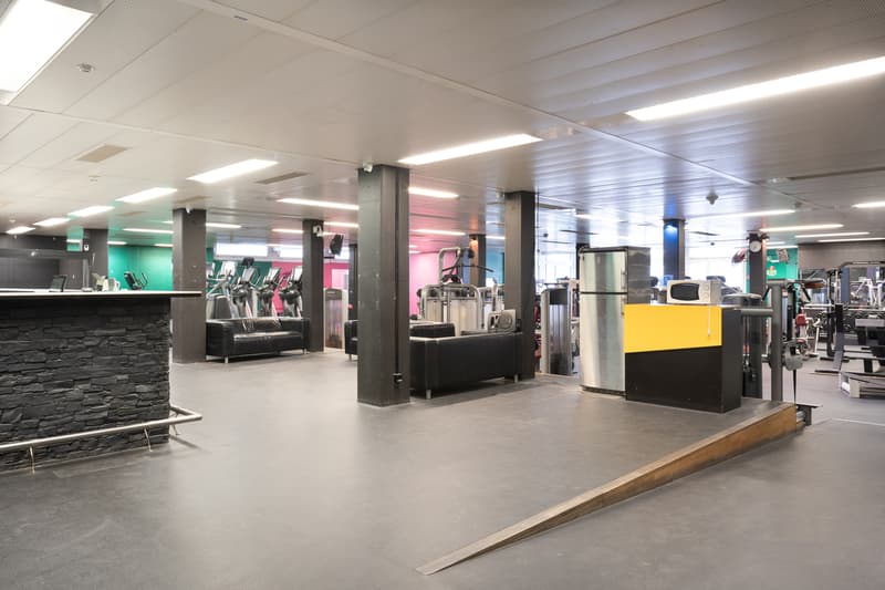 Gewerbefläche mit Tageslicht und vielen Möglichkeiten ca. 750 m²! (3)