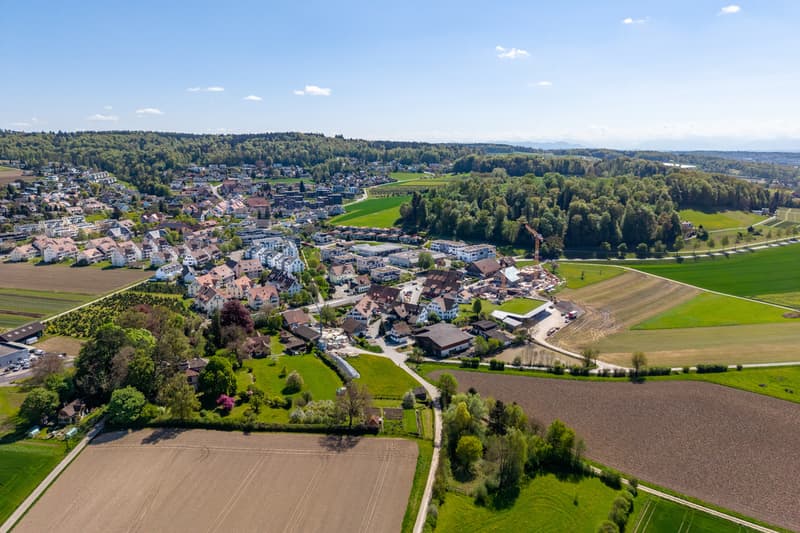 Winkel ZH