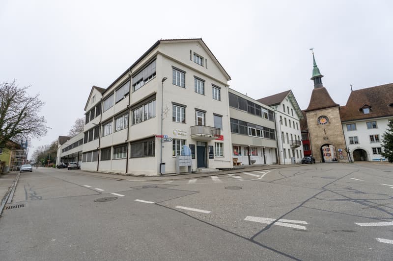 1'000 m² aussergewöhnliche Produktions-, Büro- und Gewerbeflächen (3)
