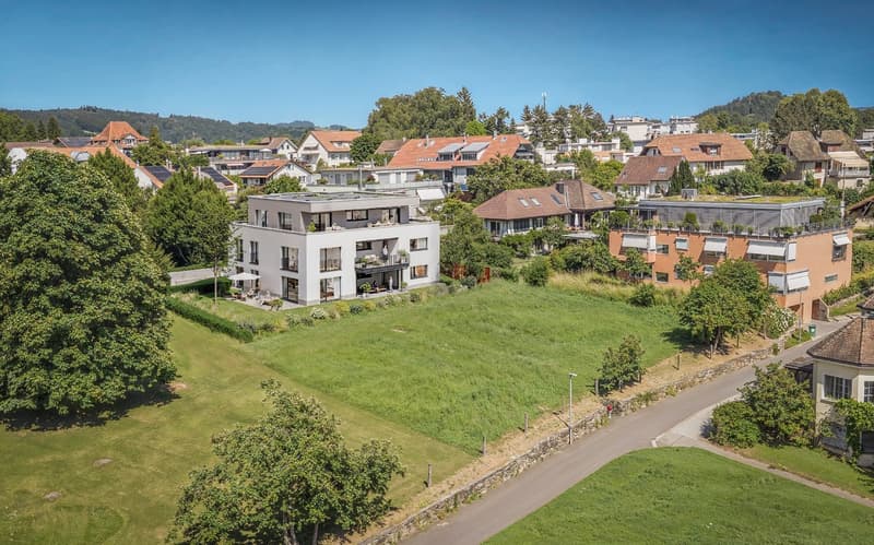 Multiple residential houses in a hilly neighborhood, large front and back yards, some with balconies, greenery and wide roads