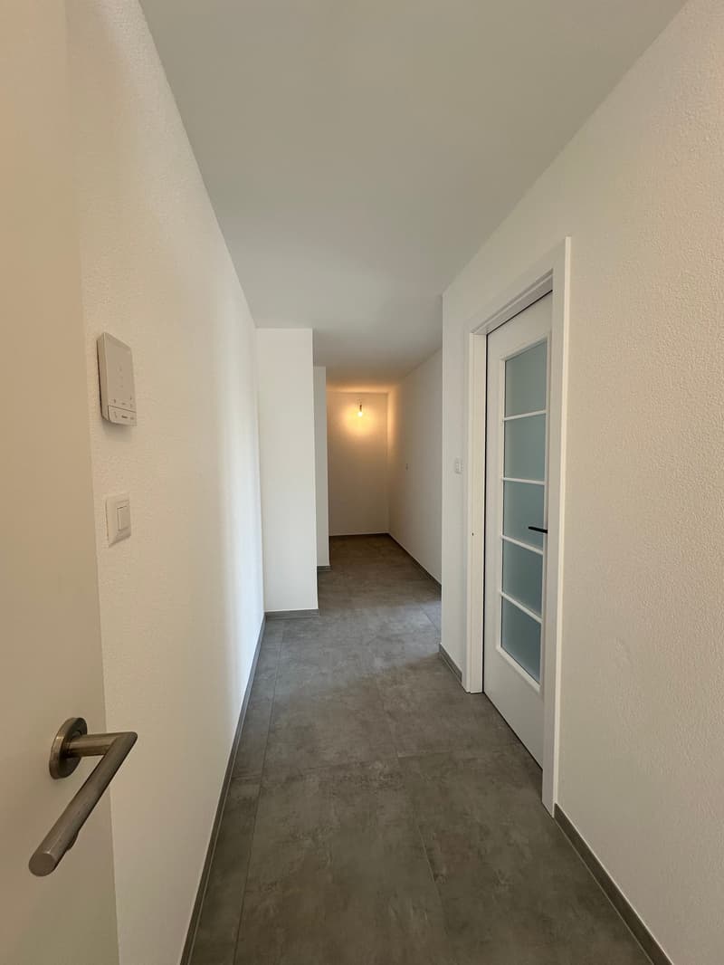 Exklusives Attika-Wohnerlebnis – direkter Liftzugang, spektakuläre Aussicht und grosszügige Terrasse (4)