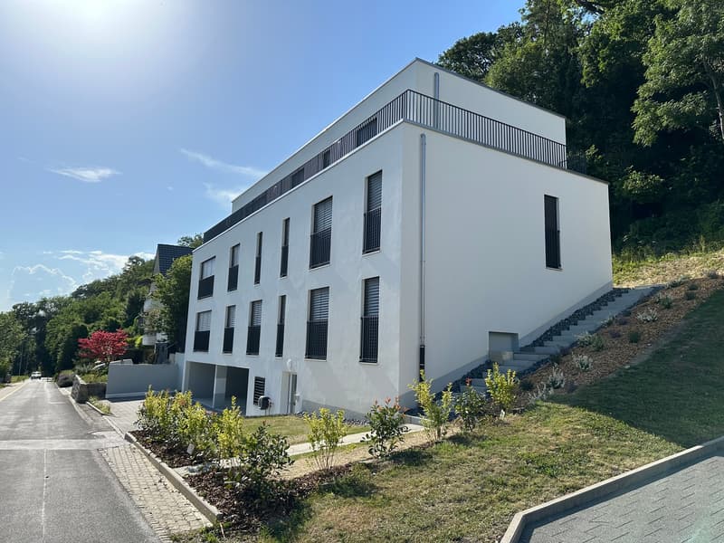 Exklusives Attika-Wohnerlebnis – direkter Liftzugang, spektakuläre Aussicht und grosszügige Terrasse (1)