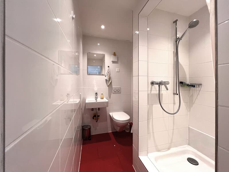 Incantevole appartamento maisonette 2.5 locali ad Allschwil – disponibile da settembre 2026 (4)
