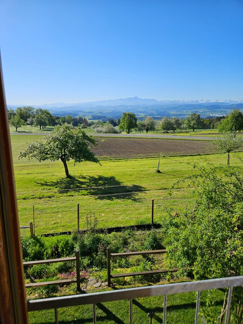Vista panoramica con privacy (11)