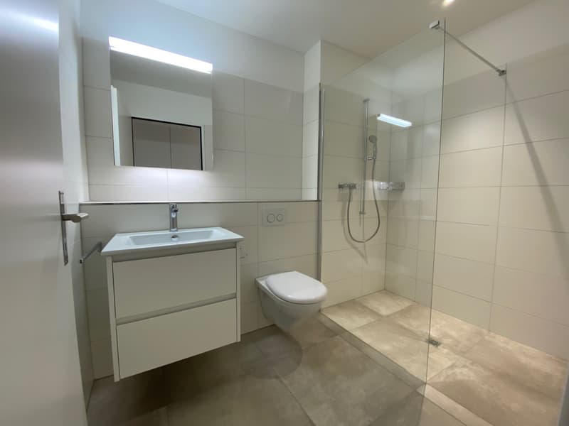 moderne 4.5 Zimmerwohnung in Zuzwil zu vermieten (7)