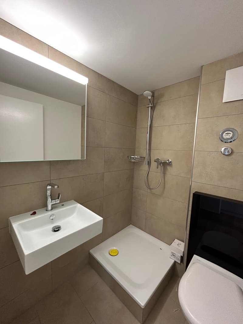 moderne 1.5 Zimmerwohnung in St. Gallen (4)