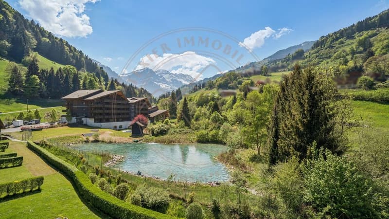 Charming apartment with panoramic view in Val-d'Illiez (6)