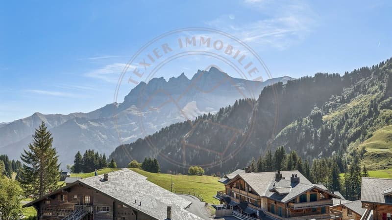 Grand triplex avec accès direct aux pistes aux Crosets (1)