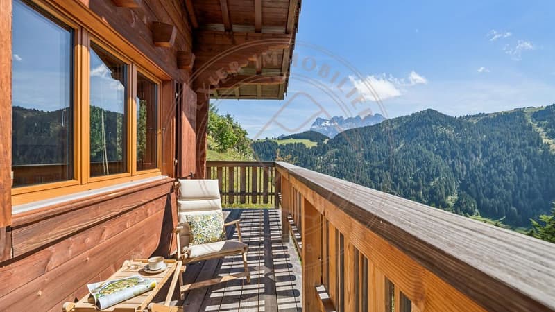 Charmant chalet sur hauteurs de Morgins (1)