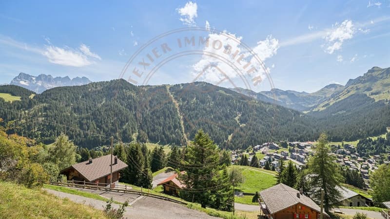 Charmant chalet sur hauteurs de Morgins (9)