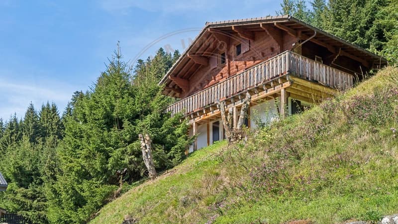 Charmant chalet sur hauteurs de Morgins (8)