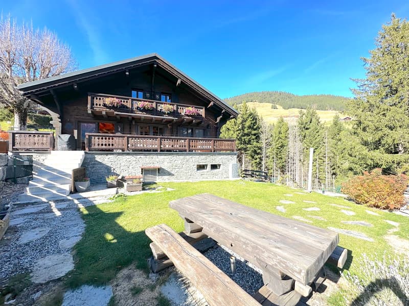 chalet style house, wooden balcony, green lawn, picnic table