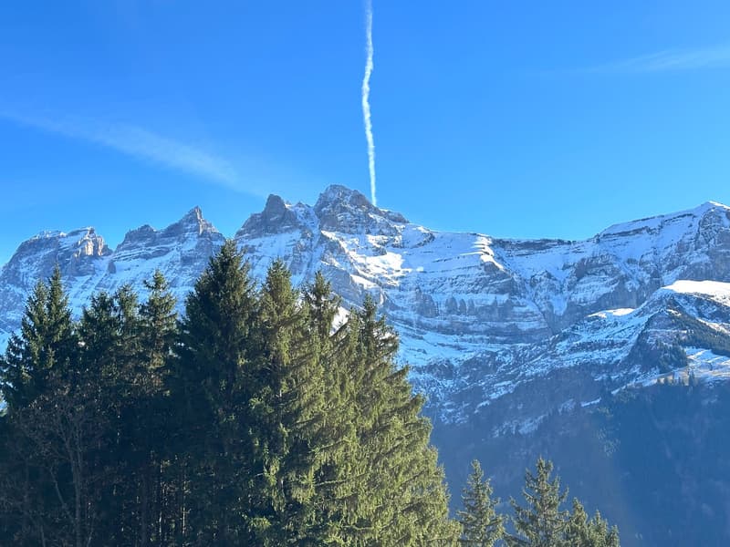 mountains, snow, pine trees, trail, valley