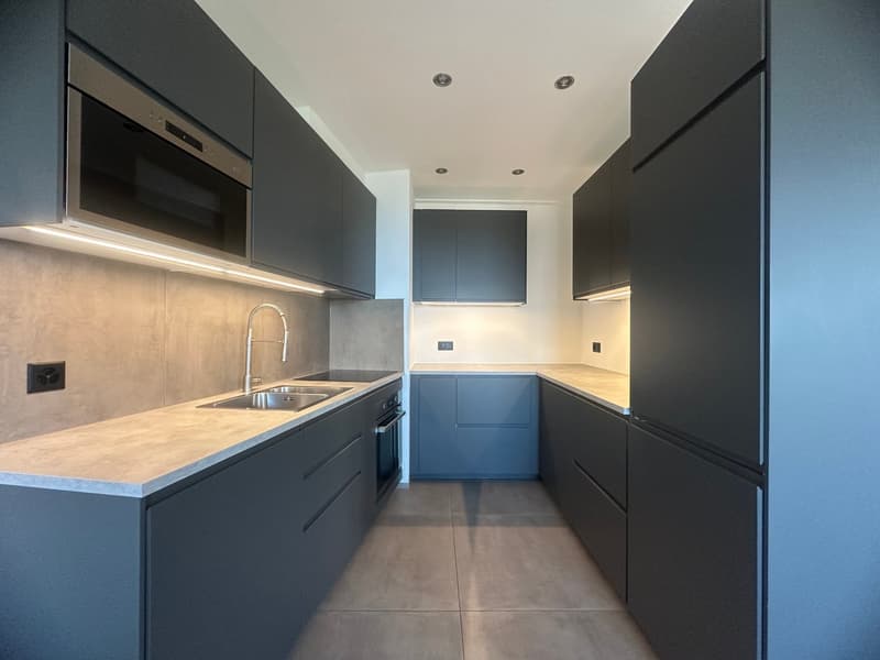 Appartement d'exception avec vue panoramique sur le lac ! (3)