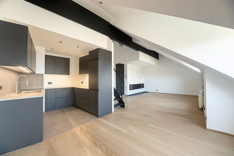 Appartement d'exception avec vue panoramique sur le lac ! (2)