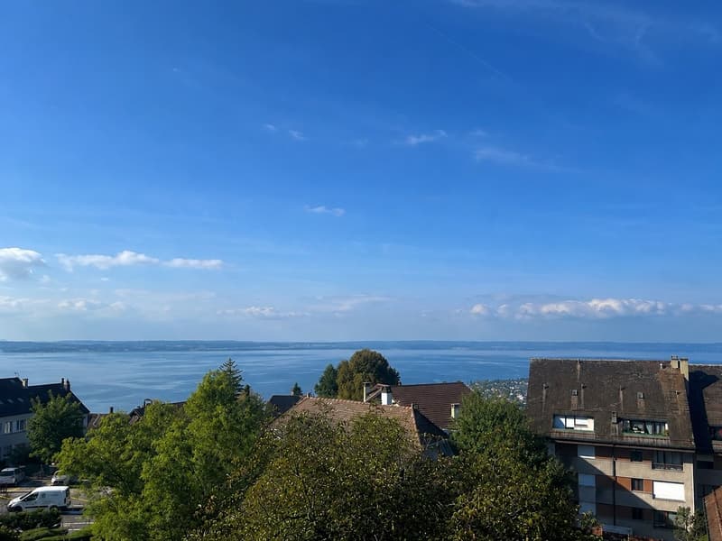 Appartement d'exception avec vue panoramique sur le lac ! (1)