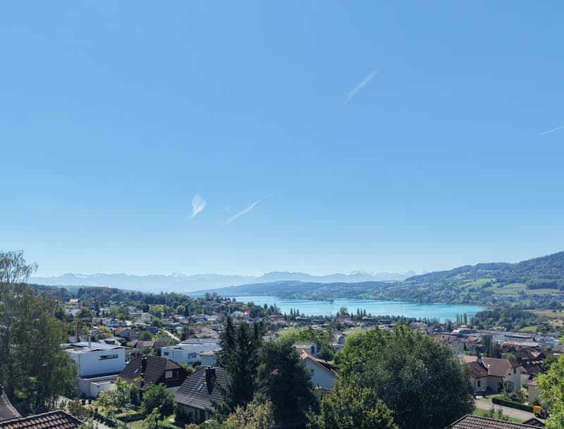 Lago Vista Seengen – Projektankündigung / Neubauprojekt am Hallwilersee (1)
