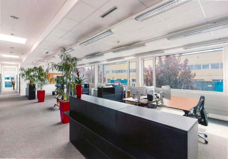 Large open office space with modern furniture, computers, and potted plants. The space has large windows providing natural light and a view of the outdoors.