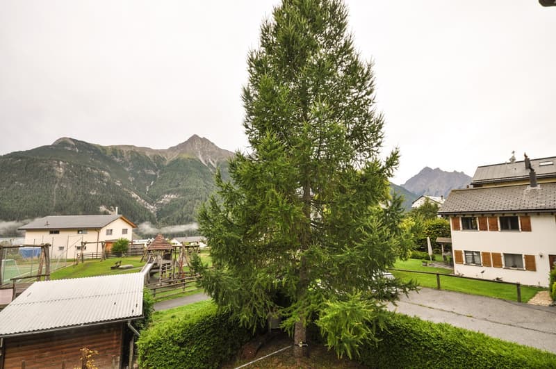 Tree, house, mountain in the background, greenery, wooden shed