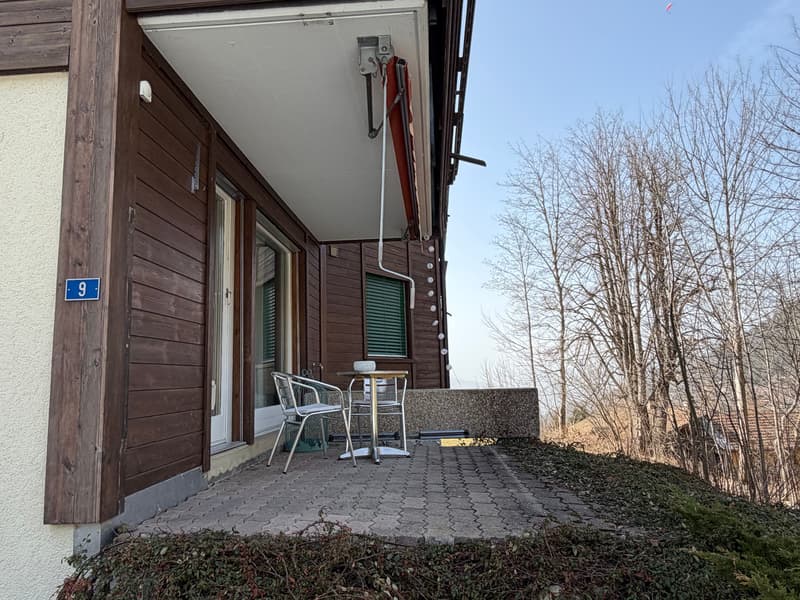 Incantevole appartamento di 2,5 locali con vista da sogno a Beatenberg (3)