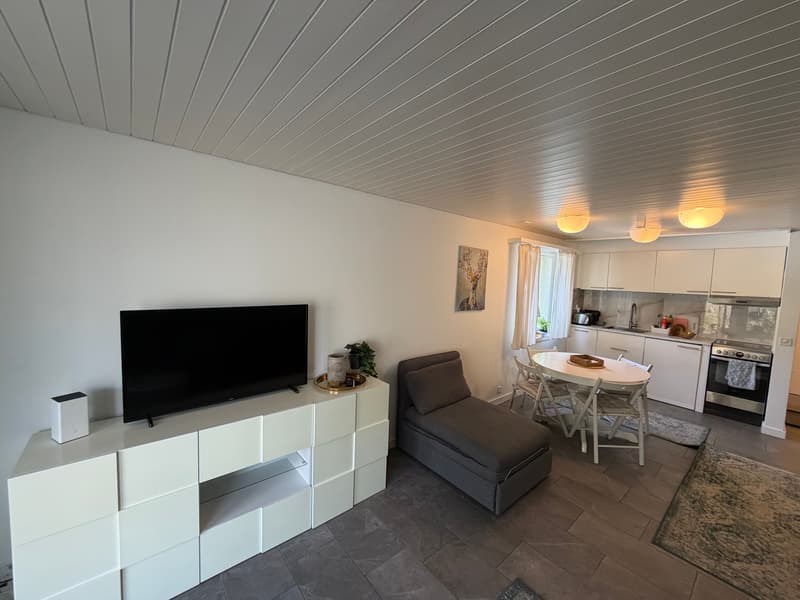 Incantevole appartamento di 2,5 locali con vista da sogno a Beatenberg (9)