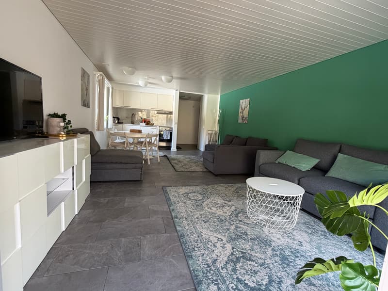 Incantevole appartamento di 2,5 locali con vista da sogno a Beatenberg (11)