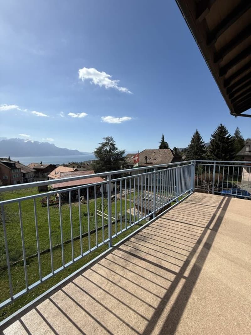 Un'opportunità rara: appartamento di 4,5 locali (2)