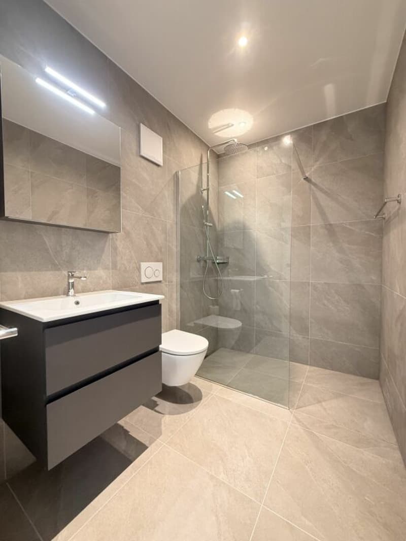 Sublimes Apartment mit 3,5 Zimmern (3)