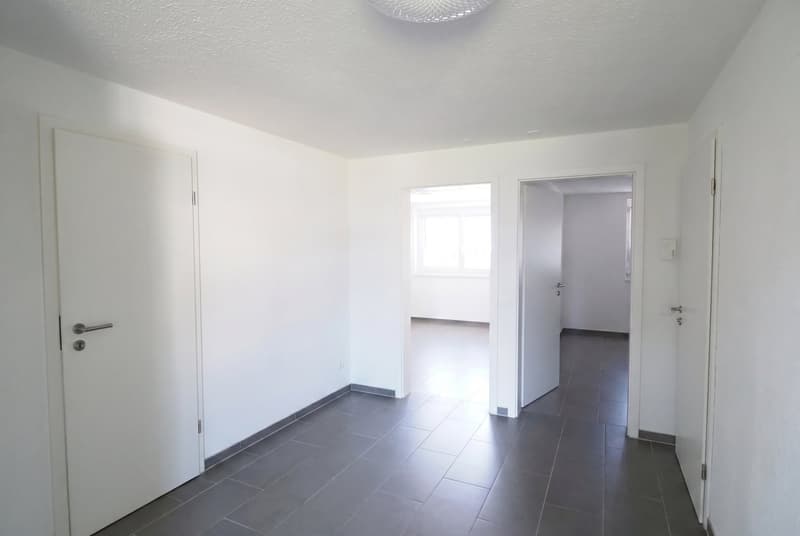 Cozy 3.5-room apartment with balcony in Reinach (3)