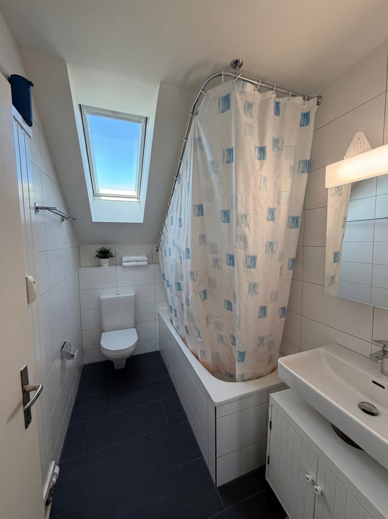 Grosszügige 3.5-Zimmer-Dachwohnung mit 110 m² in Frenkendorf (9)