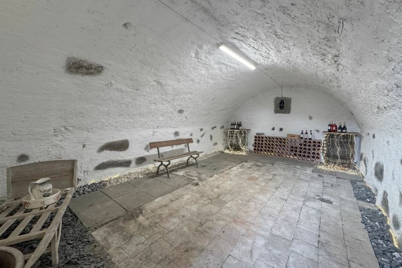 Storia & Futuro: Spazio per Generazioni, Idee, Nuove Prospettive (11)