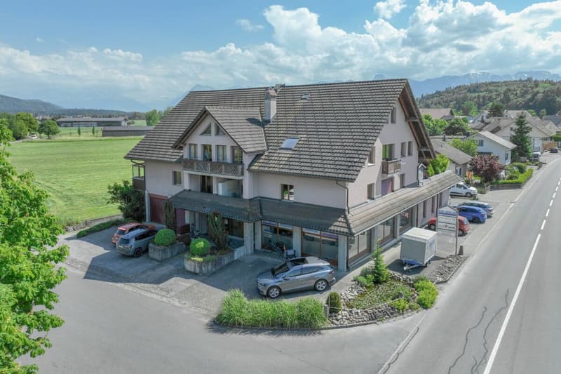 Wohnen unter dem Dach - mit Wärme, Stil und Weitblick (11)