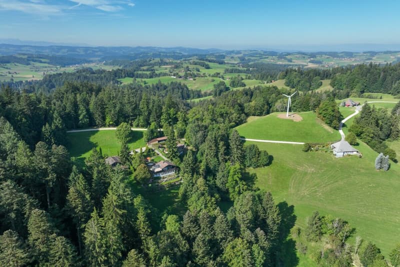 Stille, Weitblick, Geborgenheit - charmantes Refugium für Garten- und Naturliebhaber (4)