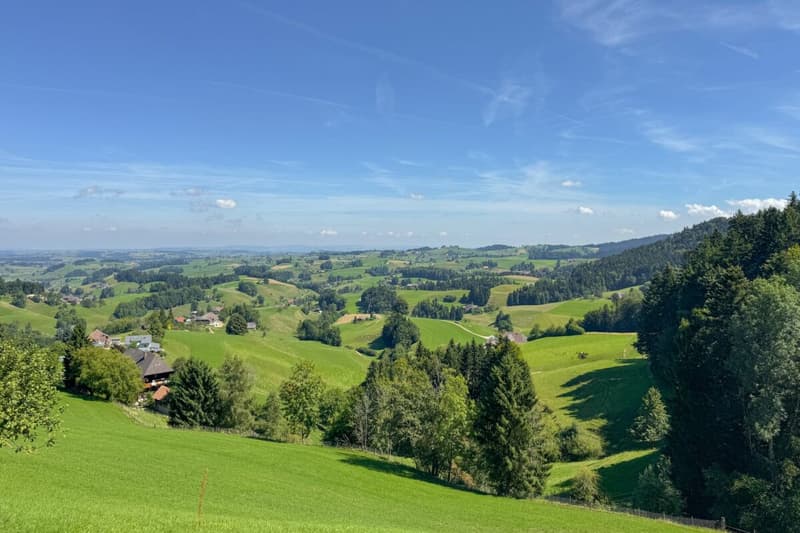 Stille, Weitblick, Geborgenheit - charmantes Refugium für Garten- und Naturliebhaber (16)