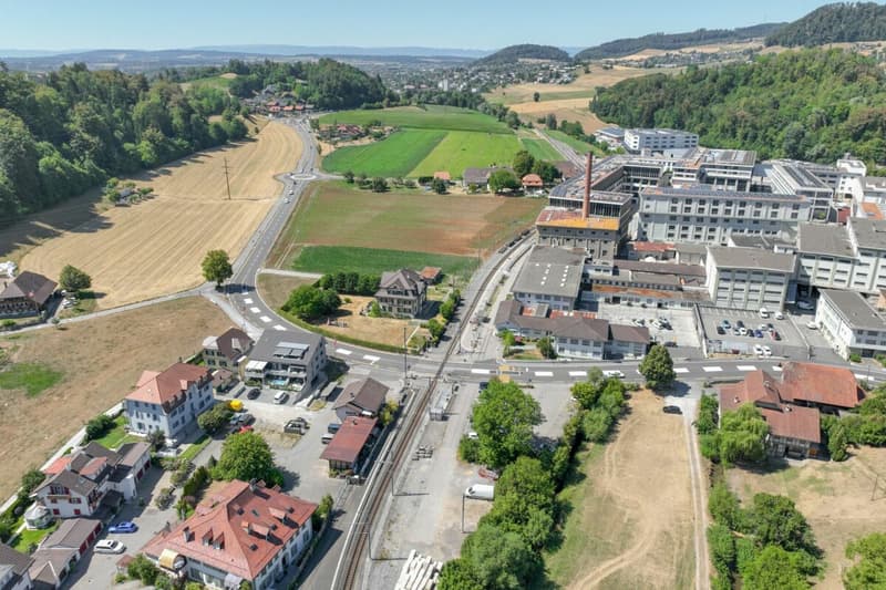 Licht, Raum, Komfort: Parterrewohnung mit 4½ Zimmern und grosser Terrasse (13)