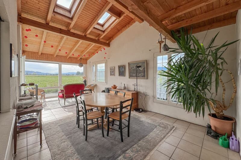 Weite, Sonne, Freiheit: vielseitiges Zuhause mit Studio und grossem Garten (13)