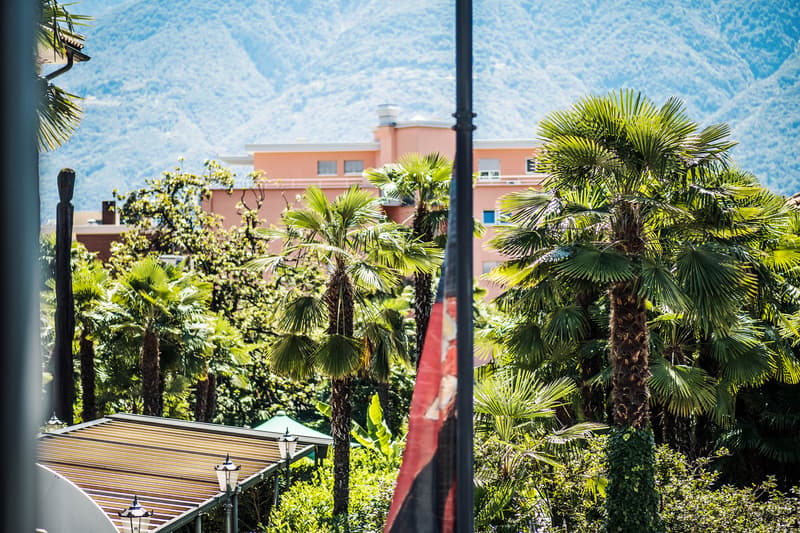 Palm trees, mountains, building, awning, street lights, flag
