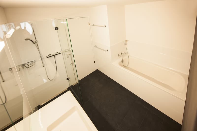 Modern city apartment in the Riethüsli quarter (5)