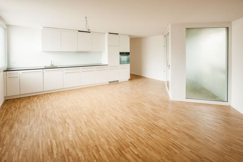 Modern city apartment in the Riethüsli quarter (2)