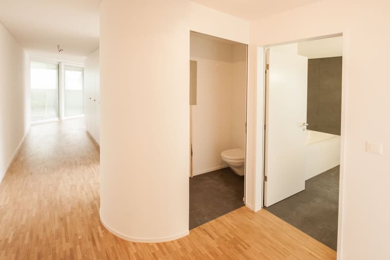 Modern city apartment in the Riethüsli quarter (6)