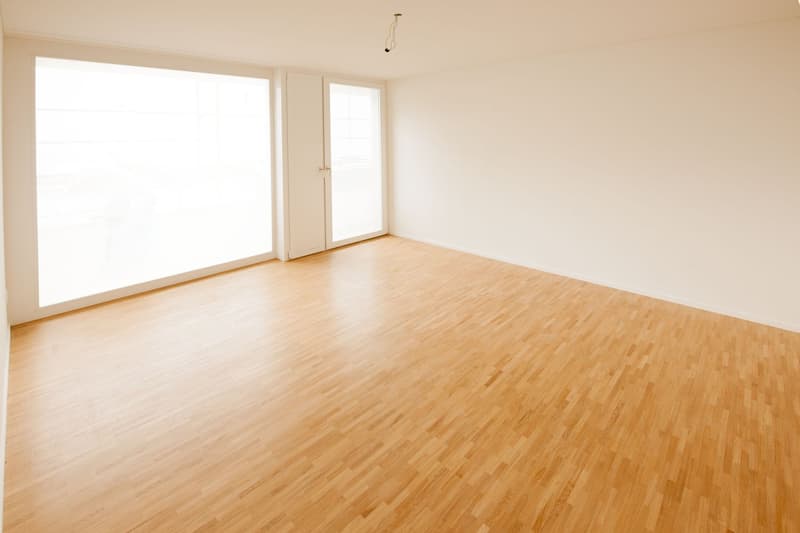 Modern city apartment in the Riethüsli quarter (3)