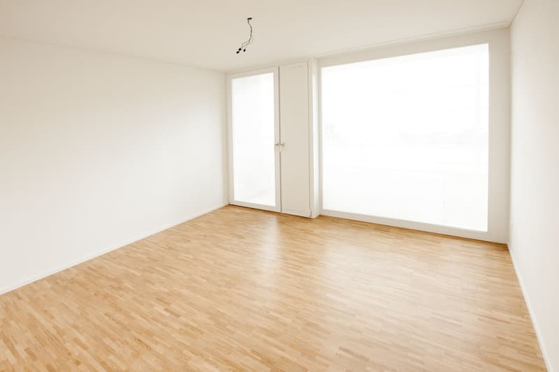 Modern city apartment in the Riethüsli quarter (4)