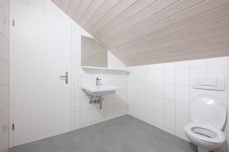 Charmante 2.5-Zimmer-Dachwohnung an der Bachgasse in Uster (10)