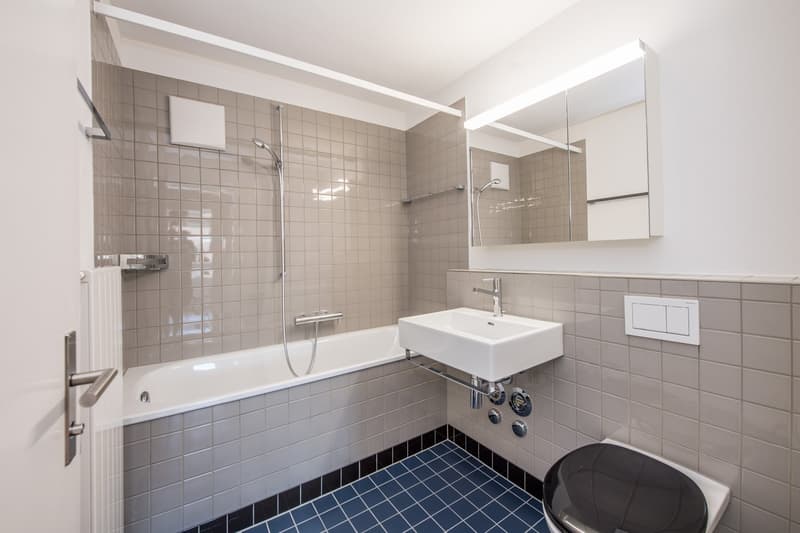 Living in a prime location in the popular Veltheim quarter! (10)