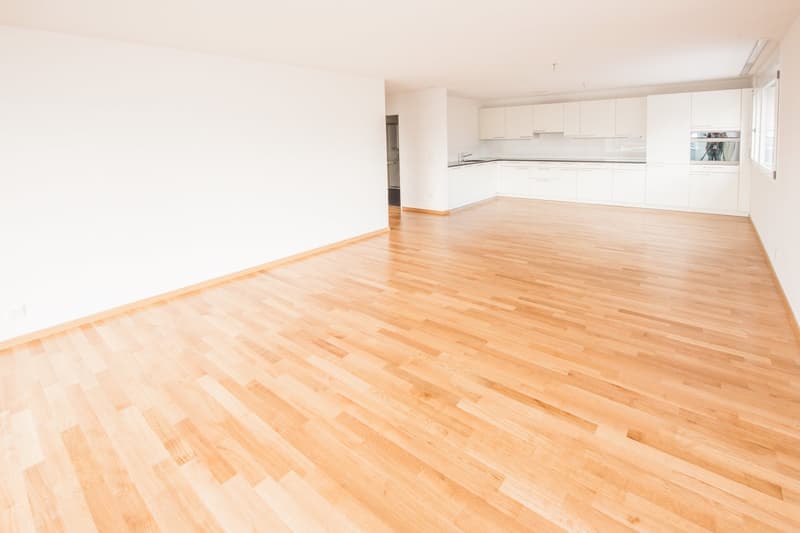 Appartamento luminoso 4.5 locali con balcone a Dübendorf (2)