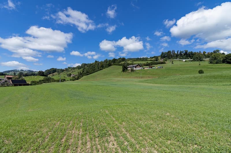 hilly green field, trees, house at the bottom, clear blue sky