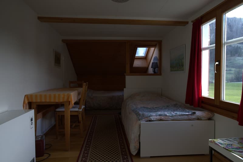 Simple and affordable apartment / holiday apartment (4)