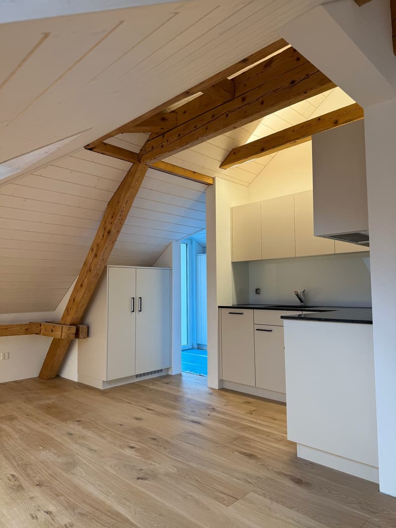 Modern 3.5-room attic apartment in a quiet location in Nesslau (9)