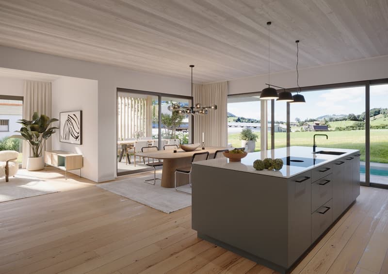 Above the fog, spacious single-family house with surroundings and swimming pool (3)