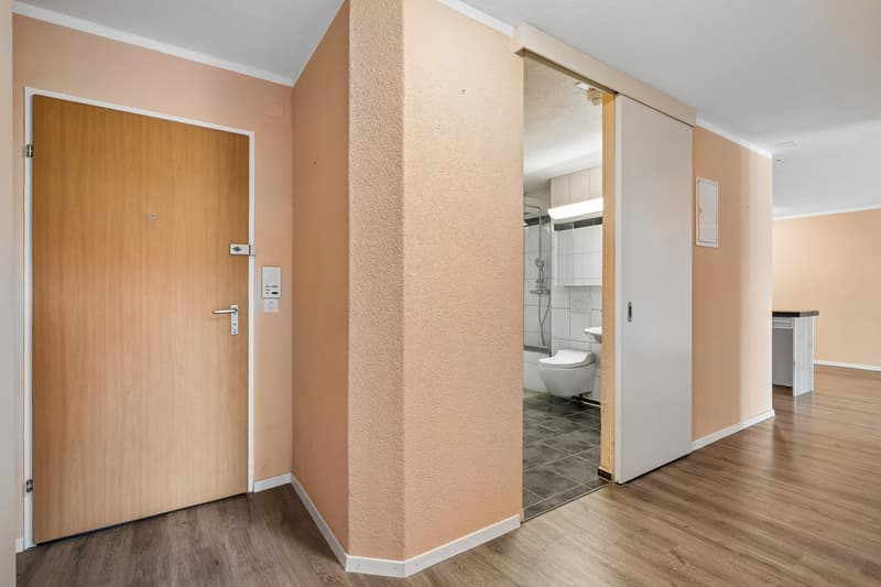 Grosszügige 3.5-Zimmer-Wohnung mit sonnigem Sitzplatz in ruhiger Lage in Zürich-Seebach (5)